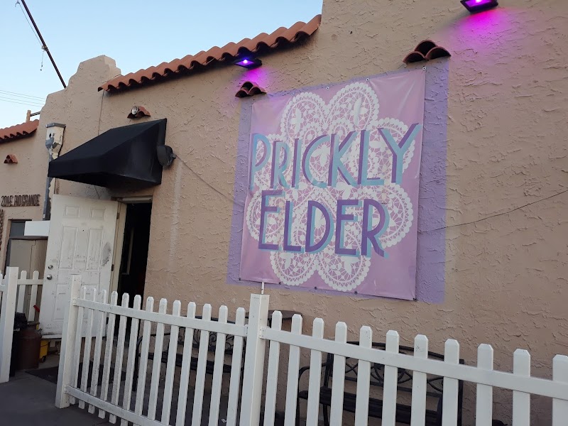 Prickly Elder photo 5