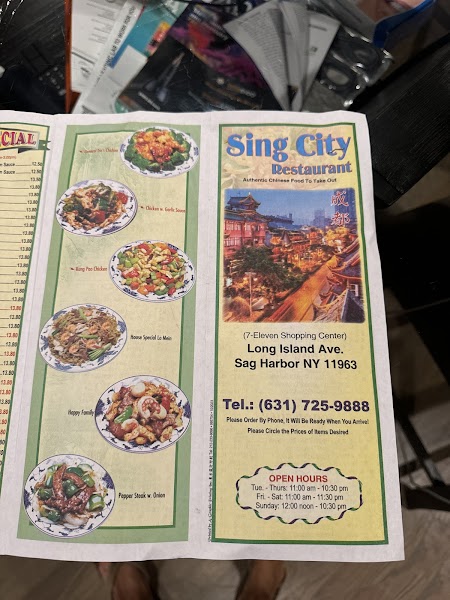 Sing City photo 3
