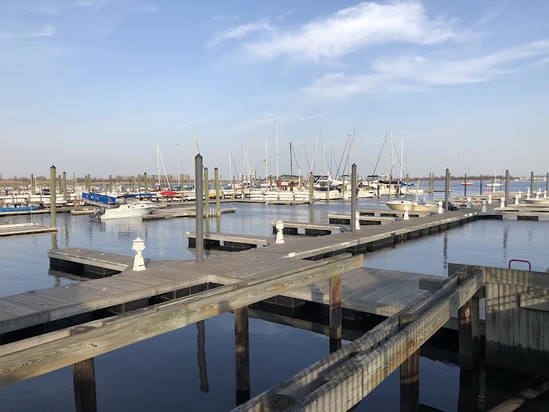 Marina Cafe Restaurant & Tiki Bar photo 3