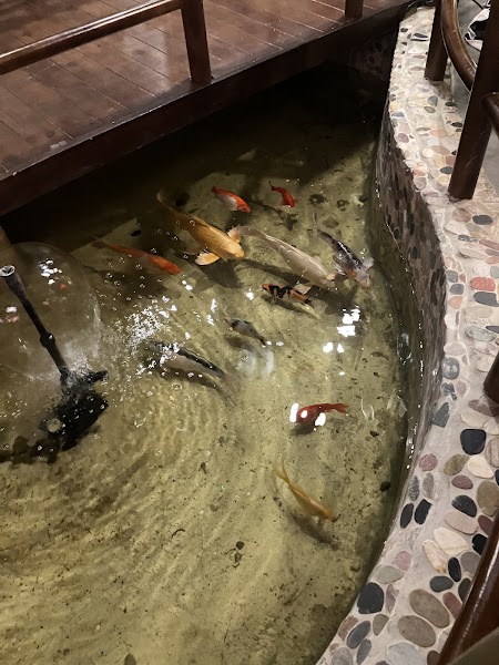 Haru Japanese Restaurant photo 3
