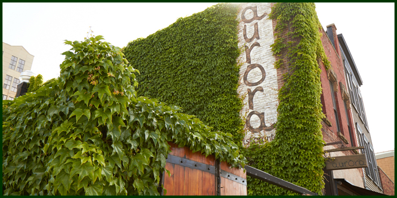Aurora Brooklyn photo 4