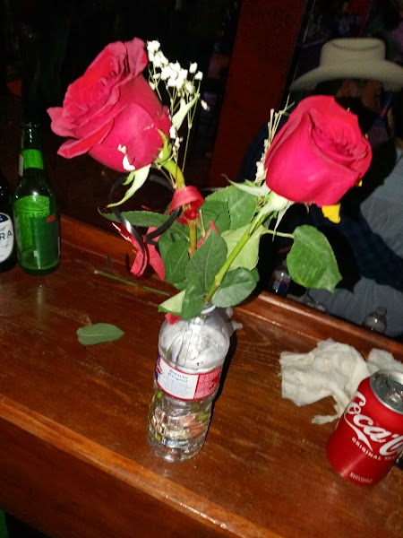 Club Arriba photo 4