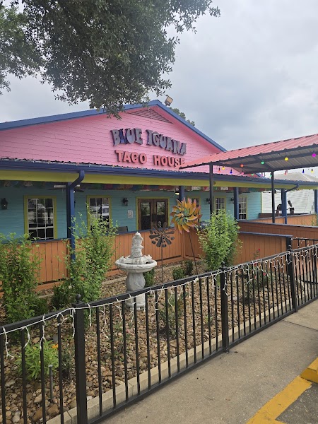 Blue Iguana Taco House photo 2