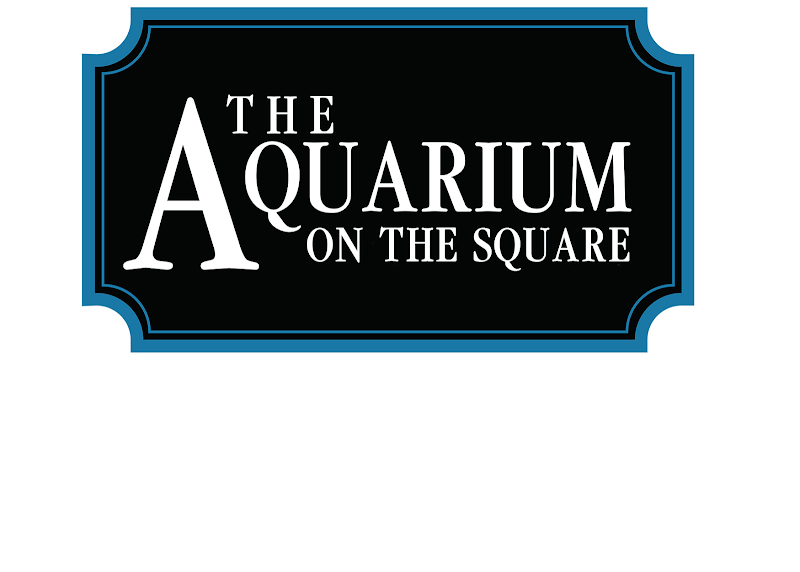 The Aquarium On The Square photo 4