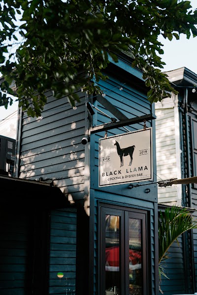 Black Llama photo 5