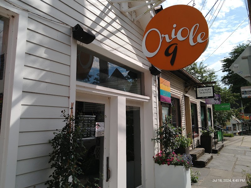 Oriole 9 photo 5
