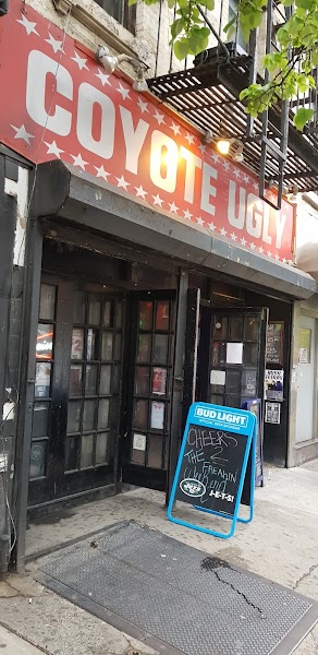 Coyote Ugly New York photo 3