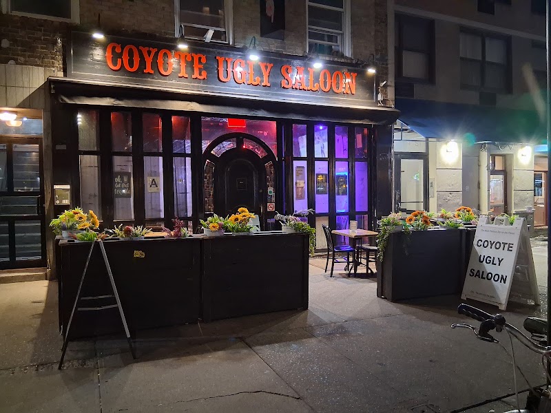 Coyote Ugly New York photo 4