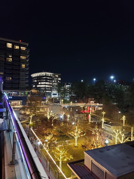 Rose Rooftop & Restaurant photo 4