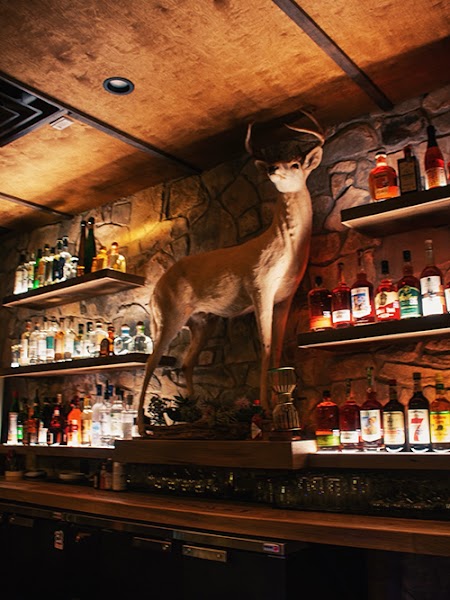 Marfa Lights Bar