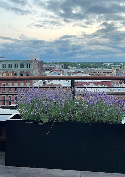 Vantage Rooftop Lounge and Conservatory photo 3