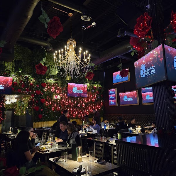 Serena Bistro and Lounge photo 4