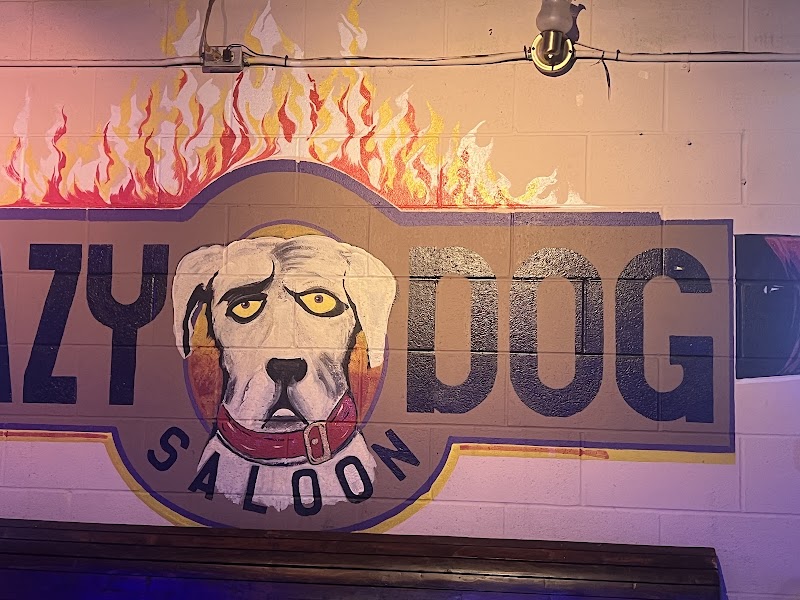 Lazy Dog Saloon photo 3