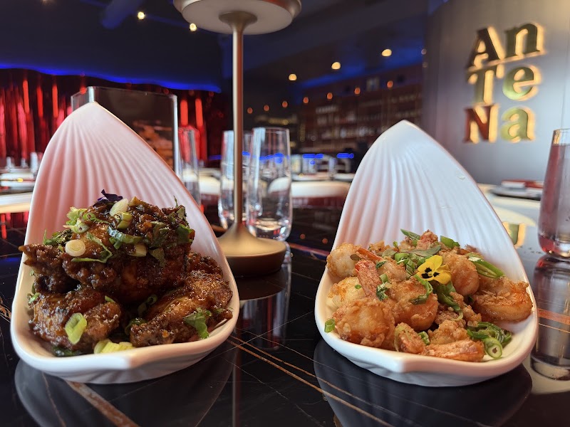 Antena Indian Fine Dine and Bar photo 3