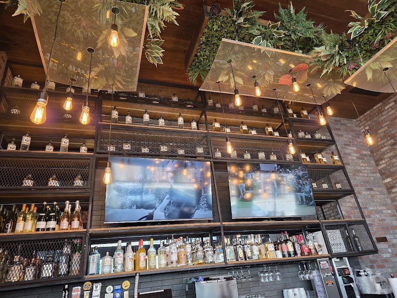 JINYA Ramen Bar - Carrollton photo 2