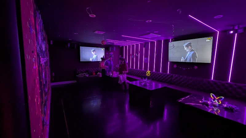 Singing Karaoke Club
