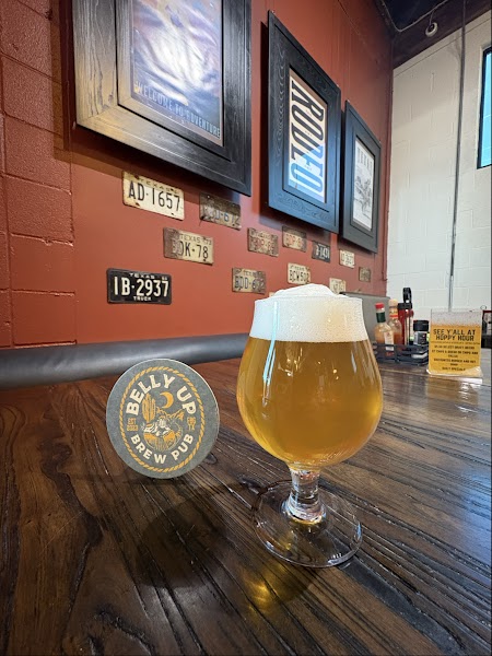 Belly Up Brewpub photo 2