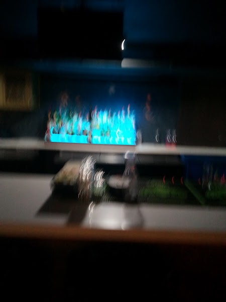 Teddy's Lounge photo 3