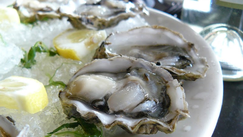 Opus Ocean Grille photo 2
