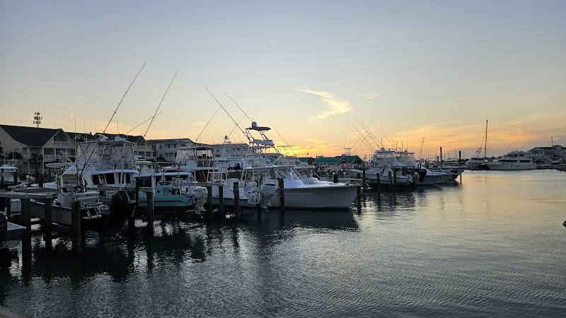 Virginia's On the Bay photo 3