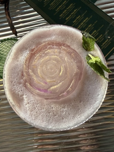 Lotus Social House photo 5