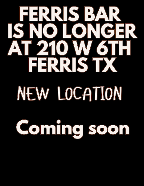 THE FERRIS BAR photo 3